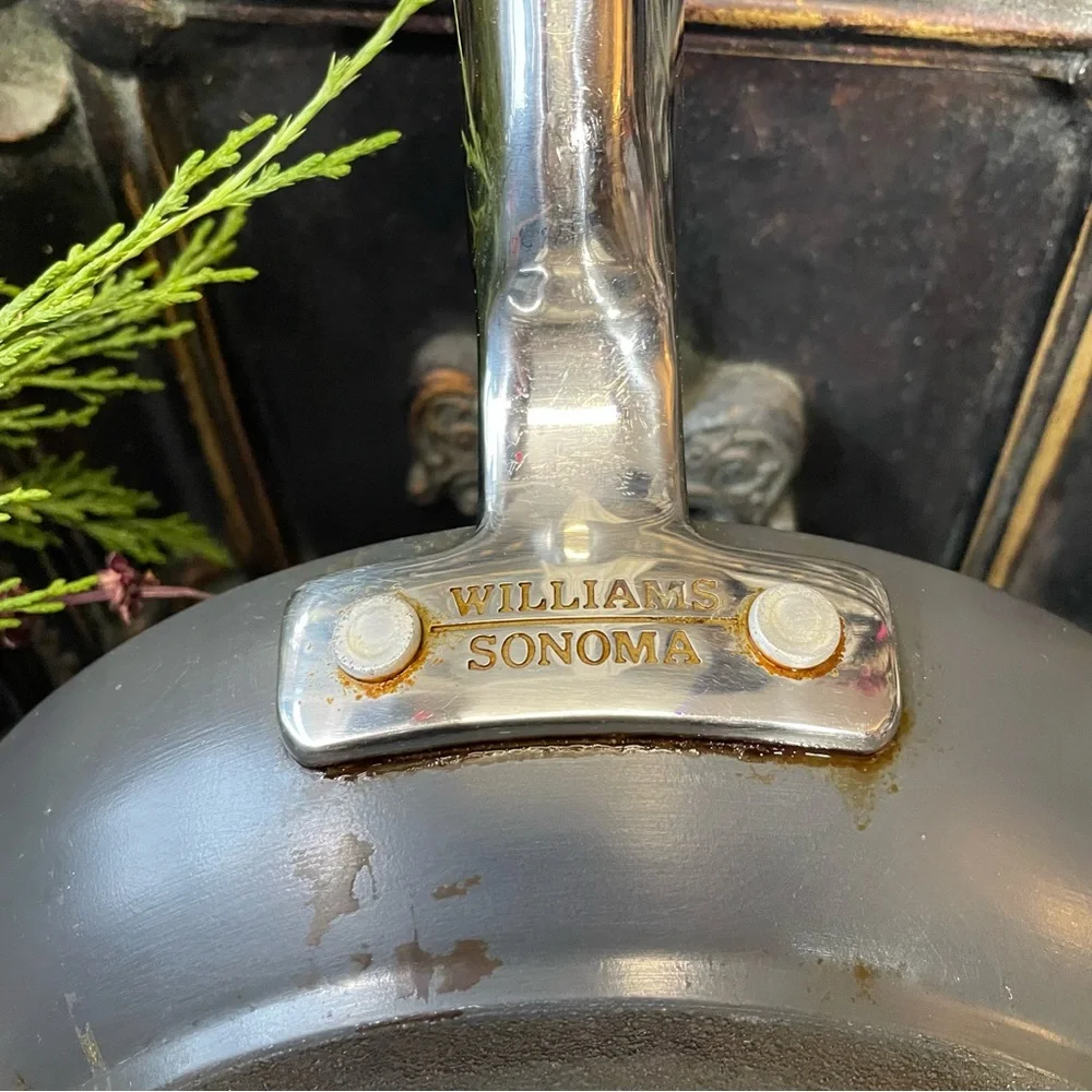 Williams Sonoma Professional Ceramic 9.5 inch nonstick pan diamond sear